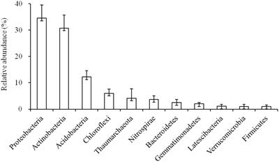 Spatial Patterns and Drivers of Microbial Taxa in a Karst Broadleaf Forest